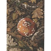 Amanita. Projekt z dziedziny Malowanie akwarelą użytkownika cristina_r_sedeno - 24.03.2022