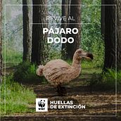 Huellas de Extinción (Footprints of Extinction). Projekt z dziedziny  Reklama, UX / UI, 3D,  Animacja,  Manager art, st, czn, Br, ing i ident, fikacja wizualna, Projektowanie postaci, Edukacja, Projektowanie gier, Projektowanie interakt, wne, Marketing, Web design, Tworzenie stron internetow, ch, Cop, writing, Portale społecznościowe, Kreat, wność, Ilustracja c, frowa,  Modelowanie 3D, Stor, telling, Marketing c, frow, Marketing mobiln, HTML, Marketing treści, Projektowanie c, frowe, Komunikacja, Kreat, wne zabaw, z dziećmi i Narracja użytkownika Pancho González - 31.03.2021