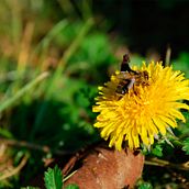 Shrinking. Een project van Grafisch ontwerp, Digitale tekening y Digitale fotografie van Anita Bortolaso - 07.12.2021