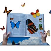 Out of bounds 2. Een project van Fotografie, Collage y Digitale tekening van Anita Bortolaso - 01.12.2021