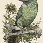 My project for course: Naturalist Illustration with Ballpoint Pen . Traditional illustration, Drawing, Realistic Drawing, and Naturalistic Illustration project by Michael Davies - 03.25.2022