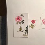 My project for course: Botanical Watercolor Sketchbook Ein Projekt aus dem Bereich Traditionelle Illustration, Aquarellmalerei, Botanische Illustration und Sketchbook von Virginia Rogers Bercier - 26.03.2022