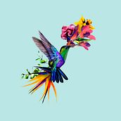 Colibrí : Estampado textil con técnicas digitales. Textile Design, Textile Printing, Traditional illustration, Design, and Digital Illustration project by mariacir - 03.27.2022