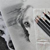 Ritratto realistico a matita. Fine Arts, Pencil Drawing, Drawing, Portrait Drawing, and Realistic Drawing project by elena giani - 03.27.2022