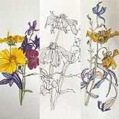 Beautiful Decay . Botanical Illustration project by Barbara Ewing - 03.25.2022