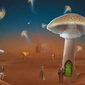 The Mushroom Planet. Un proyecto de Composición fotográfica, Collage, Retoque fotográfico, Fotografía, Fotomontaje e Ilustración digital de Alessia Greco - 15.01.2022