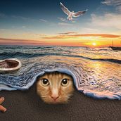Mon projet du cours : Photomontage et illustrations fantastiques sur Photoshop. Photograph, Collage, Photo Retouching, Digital Illustration, Photographic Composition, and Photomontage project by Jessee NC - 03.27.2022