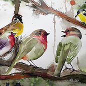 Mein Kursprojekt: Illustriere Vögel mit expressiven Aquarelltechniken. Traditional illustration, Watercolor Painting, Realistic Drawing, and Naturalistic Illustration project by Vanessa - 03.27.2022