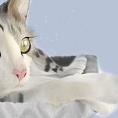 Gary . % Karla Guerra tarafından hazırlanan Geleneksel illüstras, on, Dijital İllüstras, Ve on projesi - 03.25.2022