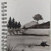 Aguadas de Nanquim. Un progetto di Pittura e Belle arti di Ana Paula Penkala - 26.03.2022