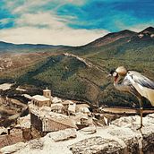 Mi Proyecto del curso: Fotomontaje surrealista con Photoshop. Un proyecto de Post-producción fotográfica		, Retoque fotográfico, Fotografía digital, Composición fotográfica y Fotomontaje de Miguel Hernández Ramírez - 29.03.2022