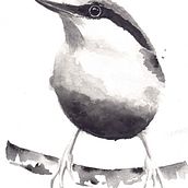 My project for course: Artistic Watercolor Techniques for Illustrating Birds. Un proyecto de Ilustración tradicional, Pintura a la acuarela, Dibujo realista e Ilustración naturalista				 de Zuzana - 29.03.2022