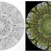 My project for course: The Art of Mandala Drawing: Create Geometric Patterns Ein Projekt aus dem Bereich Zeichnung und Illustration mit Tinte von Lesley Davies - 29.03.2022