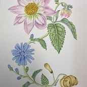 Mi Proyecto del curso: Acuarela realista para composiciones botánicas. Traditional illustration, Painting, Drawing, Watercolor Painting, and Botanical Illustration project by Toñi Olmo Muñoz - 03.29.2022