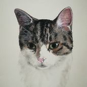 A couple of my pet portraits. Un projet de Dessin artistique de Kay - 30.03.2022
