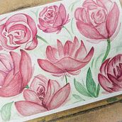 Mi Proyecto del curso: Ilustración botánica con acuarela. Un progetto di Illustrazione tradizionale, Belle arti, Pittura, Disegno, Pittura ad acquerello e Illustrazione botanica di Ana Murillo - 30.03.2022