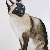 My project for course: Expressive Animal Portraits in Watercolor Ein Projekt aus dem Bereich Traditionelle Illustration, Aquarellmalerei, Realistische Zeichnung und Naturalistische Illustration von Marie Johnson-Dahlstrom - 30.03.2022