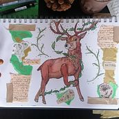 My project for course: Animal Illustration: Capturing Wildlife in a Sketchbook. Traditional illustration, Collage, Sketchbook, and Naturalistic Illustration project by Tash - 03.30.2022