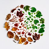 My project for course: Creative Flat Lay Compositions for Social Media. Un progetto di Fotografia con smartphone, Fotografia di prodotti, Fotografia digitale, Fotografia gastronomica e Fotografia per Instagram di info_532743 - 31.03.2022