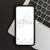 limbic upgrade [corporate & typedesign]. Un proyecto de Diseño, Tipografía, Diseño tipográfico, Diseño de logotipos, Diseño Web, Diseño interactivo, UX / UI, Consultoría creativa y Diseño de carteles de Rafael Bernardo - 31.03.2022