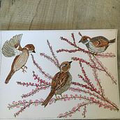 My project for course: Illustrating Nature: A Creative Exploration. Traditional illustration, Painting, Drawing, Watercolor Painting, Ink Illustration, and Naturalistic Illustration project by yvonnejvirgo - 03.31.2022
