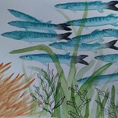 Mon projet du cours : Illustration d'univers marins à l'aquarelle. Un proyecto de Ilustración tradicional, Pintura, Pintura a la acuarela e Ilustración naturalista				 de Christine Mosaïque - 01.04.2022