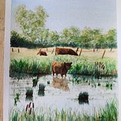 Mein Kursprojekt: Natürliche Aquarelllandschaften. Projekt z dziedziny  Sztuki piękne,  Malarstwo i Malowanie akwarelą użytkownika Rotz Bernhard - 02.04.2022