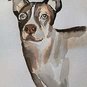 Mój projekt z kursu: Eksperymentalne techniki akwarelowe dla początkujących. Un projet de Illustration traditionnelle, Beaux Arts, Aquarelle et Illustration naturaliste de paulina_lew - 02.04.2022