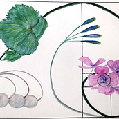 My project for course: Botanical Illustration with Watercolors. Traditional illustration, Fine Arts, Painting, Drawing, Watercolor Painting, and Botanical Illustration project by brumg71 - 04.02.2022