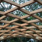 Estrutura Lamelar. Un proyecto de Arquitectura de duarte_lucas - 04.04.2022