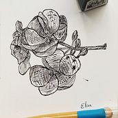 Mi Proyecto del curso: Ilustración con tinta y plumilla: captura el mundo natural. Un proyecto de Bocetado, Dibujo, Dibujo artístico, Sketchbook, Ilustración con tinta e Ilustración naturalista				 de Elsie Art - 04.04.2022