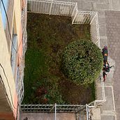 Mi Proyecto del curso: Diseño de espacios verdes para tu casa. L, scape Architecture, Floral, Plant Design, and Spatial Design project by Diego Araht Muñoz Garrio - 04.04.2022