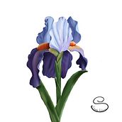 Flower. Ilustração tradicional projeto de Ekaterina Sysoeva - 04.04.2022