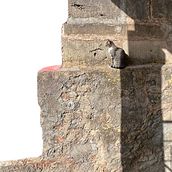 My project for course: Minimalist Photography for Instagram. Un projet de Photographie, Photographie smartphone, Instagram, Photographie pour Instagram , et Composition photographique de Tushita Bosonet - 04.04.2022