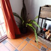 Mi Proyecto del curso: Estilismo y decoración del hogar con plantas. Un projet de Design d'interaction, Décoration, Décoration d'intérieur, DIY, Art floral et végétal , et Design d'espace de Isabel Garcia Diaz - 04.04.2022