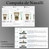 Naualli. Digital Marketing, Marketing, Social Media, Mobile Marketing, Instagram, Facebook Marketing, Instagram Marketing, Growth Marketing, and SEM project by Ricardo Madrigal - 04.13.2022