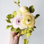 Wafer paper flowers. Un progetto di Design, Fotografia, Br, ing, Br, identit, Artigianato, Educazione, Belle arti, Papercraft, Creatività, Fotografia artistica, Instagram, Fotografia gastronomica, Design floreale e vegetale, Food St e ling di Jacqueline Butler (Petalsweet) - 06.04.2022