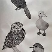 Mi Proyecto del curso: De principiante a superdibujante. Un progetto di Design, Illustrazione tradizionale, Disegno a matita e Disegno di Noelia Córdova - 04.04.2022
