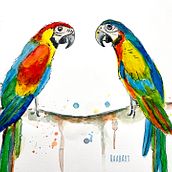 Mein Kursprojekt: Illustriere Vögel mit expressiven Aquarelltechniken. Ilustração tradicional, Pintura em aquarela, Desenho realista e Ilustração naturalista projeto de Katharina Raab - 06.04.2022
