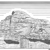 Robin upon Dartmoor: Capturing The Natural World Ein Projekt aus dem Bereich Skizzenentwurf, Zeichnung, Artistische Zeichnung, Sketchbook, Illustration mit Tinte und Naturalistische Illustration von William McGregor - 07.04.2022