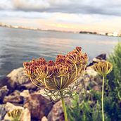 assorted photography. Photograph project by Alexis De Windt - 04.07.2022