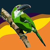 Toucanets | Illustration. Projekt z dziedziny Trad, c, jna ilustracja, Ilustracja naturalist, czna, Ilustracja c, frowa, R, sunek realist i czn użytkownika Citlalli Fernández Funes - 24.02.2022