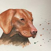 Mein Kursprojekt: Ausdrucksstarke Tierporträts in Aquarell. Watercolor Painting, and Naturalistic Illustration project by Claudia Grönke - 04.10.2022