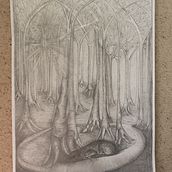 My project for course: Surrealist Illustration Inspired by Nature. Un progetto di Illustrazione tradizionale, Disegno a matita, Disegno, Disegno artistico, Illustrazione naturalistica e Disegno con matite colorate di cmckissock - 10.04.2022