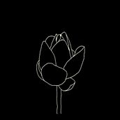 lotus. Un projet de Illustration traditionnelle , et Animation de Rana El Mahallawy - 01.09.2019