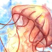 Sea Nettle in Watercolor. Traditional illustration project by Samantha - 03.30.2022