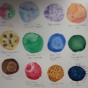 Mi Proyecto del curso: Técnicas modernas de acuarela. Traditional illustration, Fine Arts, Painting, and Watercolor Painting project by Dulce María Moreno Hernández - 04.17.2022