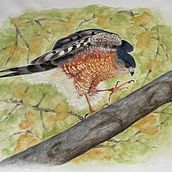 My project for course: Expressive Animal Portraits in Watercolor. Traditional illustration, Watercolor Painting, Realistic Drawing, and Naturalistic Illustration project by Nancy Neill - 04.11.2022