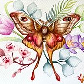 Polilla estatica. Traditional illustration, Drawing, Watercolor Painting, and Naturalistic Illustration project by Andres Ugalde Calderon - 04.12.2022