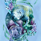 Natural History art . Traditional illustration, Watercolor Painting, Naturalistic Illustration, Painting, Arts, Crafts, Education, Fine Arts, Floral, Plant Design, Botanical Illustration, and Children's Illustration project by Helena Smyth - 04.13.2022
